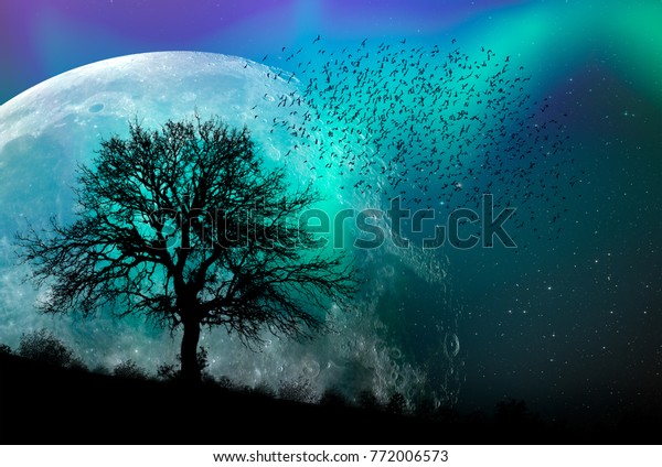 Silhouette\
of birds flying over lone tree with aurora against super moon\
\