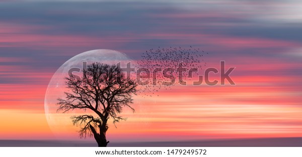Silhouette of birds with lone tree in the\
background big full moon at amazing sunset \