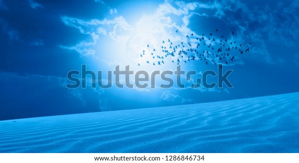 Silhouette of birds with night sky, blue moon in the\
clouds on the foreground great desert (sand dune)\