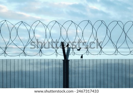 Silhouette of Birds sitting on barbed wire and metal fence of Hong Kong International Airport in Chek Lap Kok