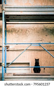 Silhouette Of A Black Cat On The Scaffolding Of A Construction Scaffold. Safety Symbol At Work, Injury Prediction.