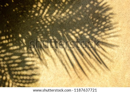 Similar – Schatten einer Wimpelkette