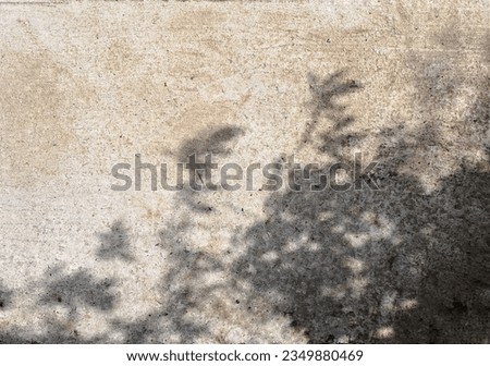 Silhouette blurred shadow of tree branches on gray cement floor texture and background.