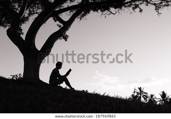Silhouette of boy reading book in the park.