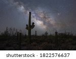 Silhouette of cactus near Saguaro National Park in Arizona