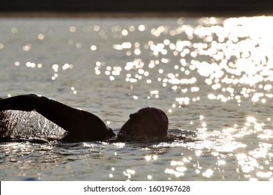Silhouette capturing early morning open water lake swim for mature, athletic woman, with sun glistening on Meech Lake. 
