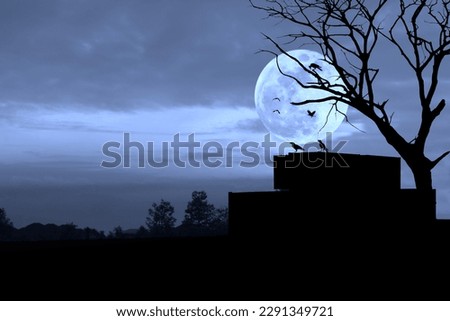 A silhouette of a cargo container lying outdoors with a flock of crows on a full moon.