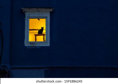 Silhouette cat on wooden table at window in lighten room with dark blue wall - Shutterstock ID 1591886245