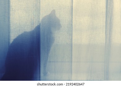 1,867 Curtain person figure Images, Stock Photos & Vectors | Shutterstock