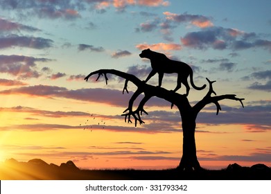 11,171 Cheetah silhouette Images, Stock Photos & Vectors | Shutterstock