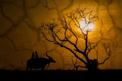Silhouette Of Children On Buffalo's Back And Tree Dead Dry During Sunset And Dry Soil ,global Warming Concept