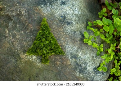 Silhouette Of Christmas Fir Tree Made Of Moss On A Rock Background. Green Christmas.