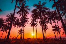 Silhouette Kokospalmen Am Strand Bei Sonnenuntergang. Vintage-Ton.