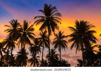 Silhouette of coconut palm trees on tropical beach at sunset - Powered by Shutterstock