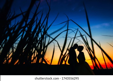 137,474 Romantic Couple Silhouette Images, Stock Photos & Vectors ...