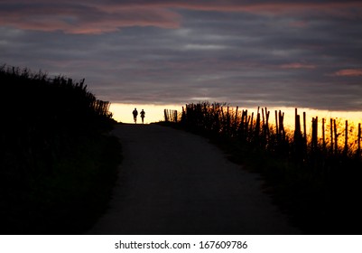 Silhouette Of Couple Running In Sunset 