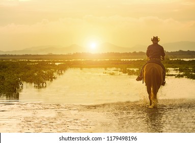 Silhouette Cowboy on horseback. Ranch