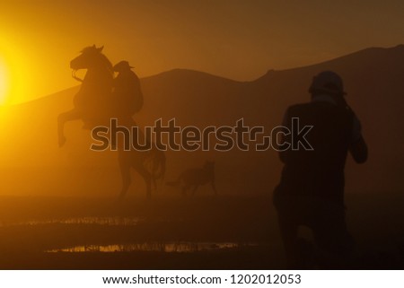 Similar – sunset with Two horses in a meadow