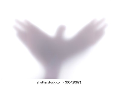 Silhouette Creating A Shape Of A Flying Bird With Hands, Behind A Diffuse Surface. Shadow Hands Bird Shape. Shadow Hands Bird On White Background . Shadow Hands Bird ISOLATED.