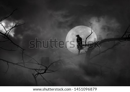 Silhouette of crow perched on tree branches in city abandonment and moon at midnight with bright and dark clouds, concept of scary and horror