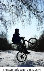 Silhouette Of Cyclist Doing Wheelie On Snowy Road, Extreme Winter Cycling On Mountain Bike, Tree Branches And Blue Sky On Background 