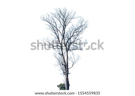 Similar – lonely Baum Natur Feld