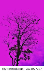 The silhouette of a deciduous tree against a dramatic purple sky creates a strong sense of artistic contrast and surreal atmosphere.