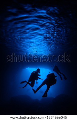 Similar – Man in his back with scuba diving equipment exploring the ocean floor.