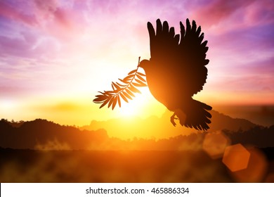 Silhouette of Dove carrying olive leaf branch .Freedom concept  and international day of peace 2022 ,Pray for Ukraine and No war concept - Powered by Shutterstock