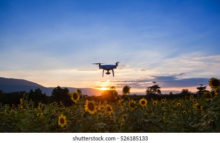 Silhouette drones