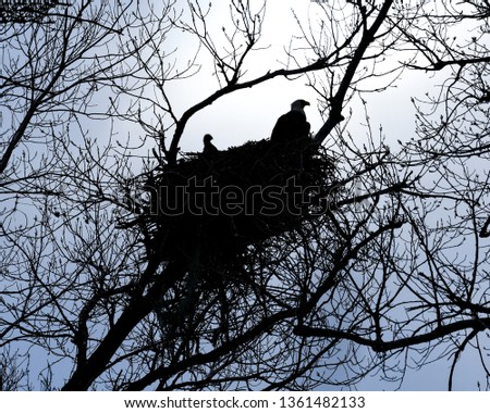 Similar – Image, Stock Photo alone Tree Man Winter