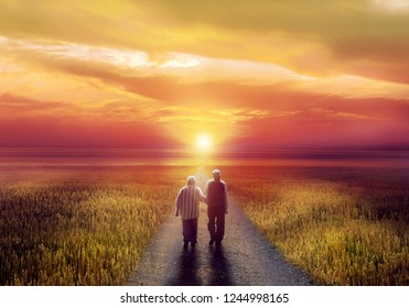 Silhouette Of Elderly Couple Walking Together In A Path Among Field At Sunset - Old Age Senior  Love Family Senility Together Concept