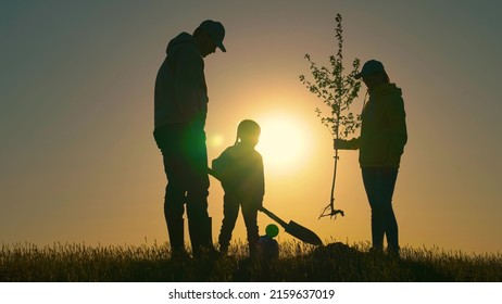 Silhouette Of Family With Tree At Sunset. Family With Shovel And Watering Can Plants Young Trees Sprout In Soil. Farmer Dad, Mom Child Planting Tree. Happy Family Team Planting Tree In Sun Spring Time