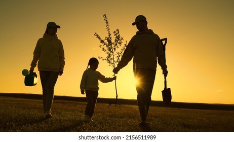 Silhouette, Father Farmer, Mother Child Daughter Go To Plant Tree Together, Teamwork. Family Team Planting Trees In Sunny Spring Time. Family With Tree At Sunset, With Shovel, Watering Can, Plant Tree