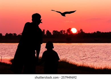 silhouette  of father and son point look at to eagle bird fly on the sky on the river sunset 