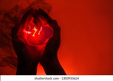 silhouette of female hands and application in the form of an embryo.The concept of abortion . Hands dissolve in the black smoke.