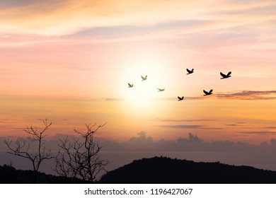 Silhouette flock of birds flying over mountain coastline with twilight horizon sea sky at sunset.
Birds flying.
Autumn equinox day.
 - Shutterstock ID 1196427067