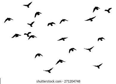 Silhouette Of A Flock Of Birds On A White Background