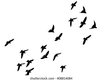 Flock Flying Birds Vector Illustration Stock Vector (Royalty Free ...