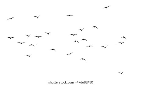 silhouette of a flock of birds on a white background - Shutterstock ID 476682430