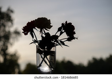 Silhouette of flowers, three roses, in a transparent glass, against the sky of the sunset sky. selective focus, copy space, monochrome, minimalism. - Powered by Shutterstock