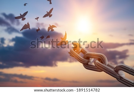 Silhouette of flying birds and broken chains