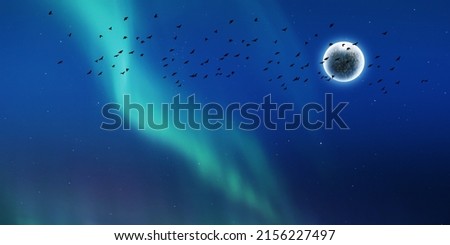 silhouette of flying birds. green aurora lights and glowing super moon. beautiful nature scenery.