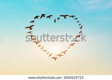 Silhouette of flying flock birds in shape heart against blue sky background.