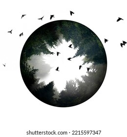 Silhouette Of Forest Against White Sky In Circle  - Foggy Dark Forest And Flying Birds