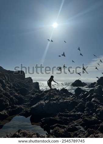 Similar – Strandläufer