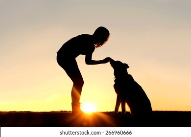 A Silhouette Of A Girl Sitting Outside In The Grass With Her Pet German Shepherd Mix Dog, Feeding Him Treats During Training, In Front Of A Sunsetting Sky.