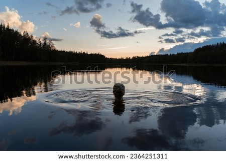 Silhouette of a girl swimming in a calm lake on a summer evening. The sky is reflected on the surface of the water.
