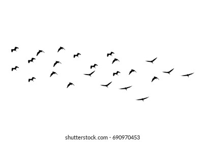 silhouette group of birds isolated on white background - Shutterstock ID 690970453