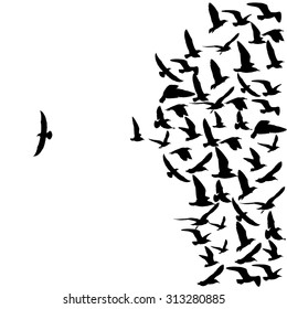 Vector Background Silhouette Birds Flock Stock Vector (royalty Free 